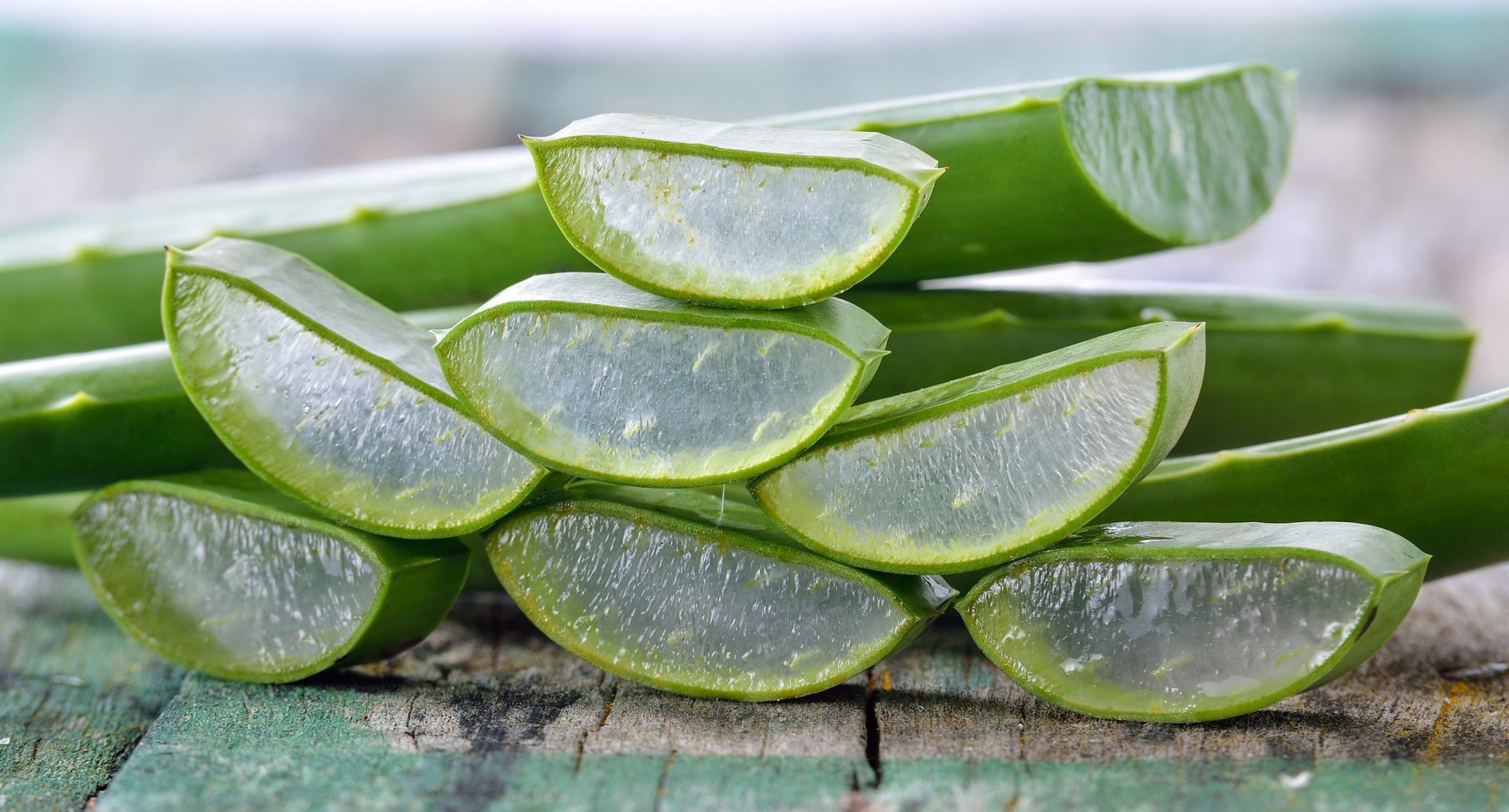 aloe-vera