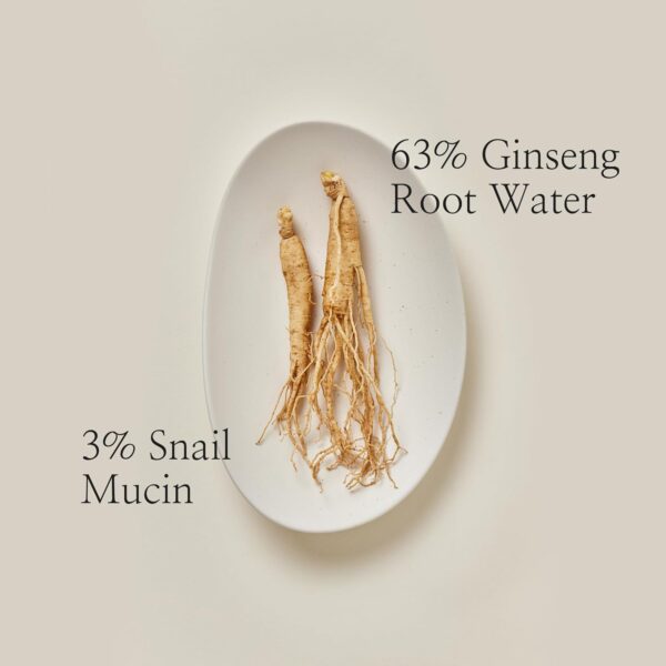 Beauty of Joseon Linea Siero Revive Ginseng + Siero Mucina di Lumaca, 30 ml - immagine 5