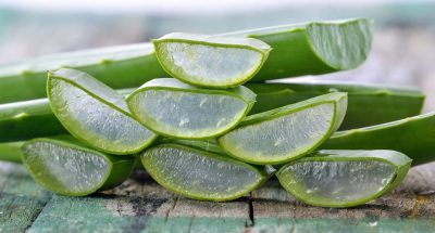 aloe-vera